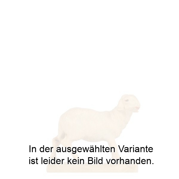 Schaf stehend