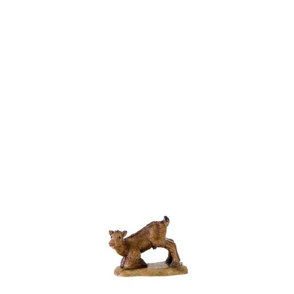 Böcklein Böcklein