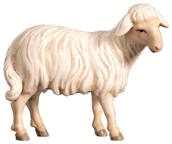 Schaf stehend orientalisch