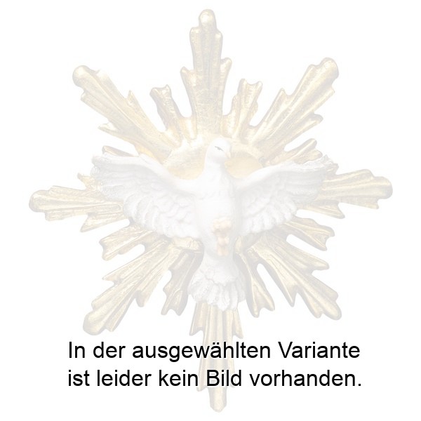 Hl. Geist mit Schein rund