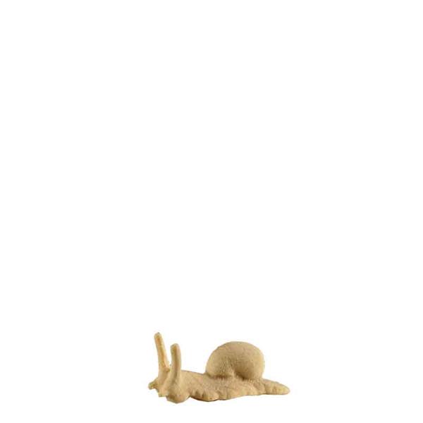Grosse Schnecke Grosse Schnecke