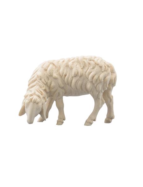 Schaf fressend links Schaf fressend links
