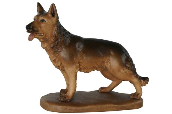 Hund stehend Hund stehend
