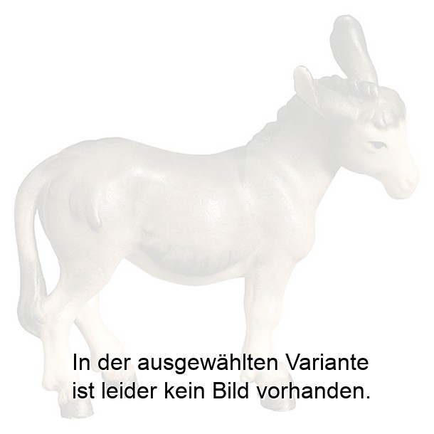Esel stehend Esel stehend