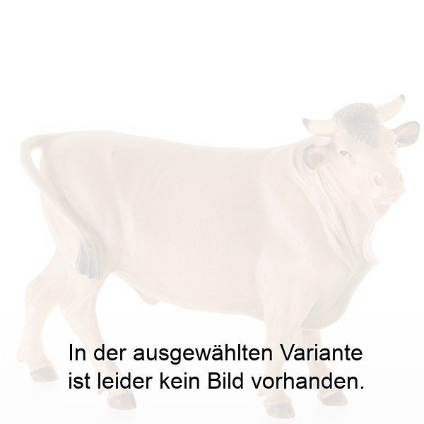 Ochs stehend Ochs stehend