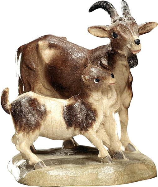 Ziegengruppe Ziegengruppe