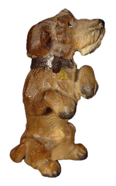 Rauhaardackel stehend Rauhaardackel stehend