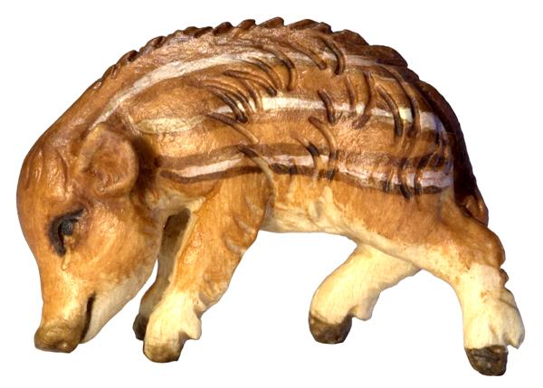 Wildschweinjunge Kopf unten