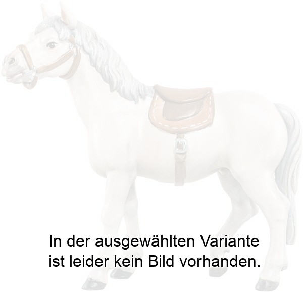 Pferd weiß Pferd weiß