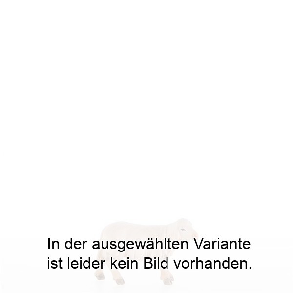 Lamm mit Kopf nach links