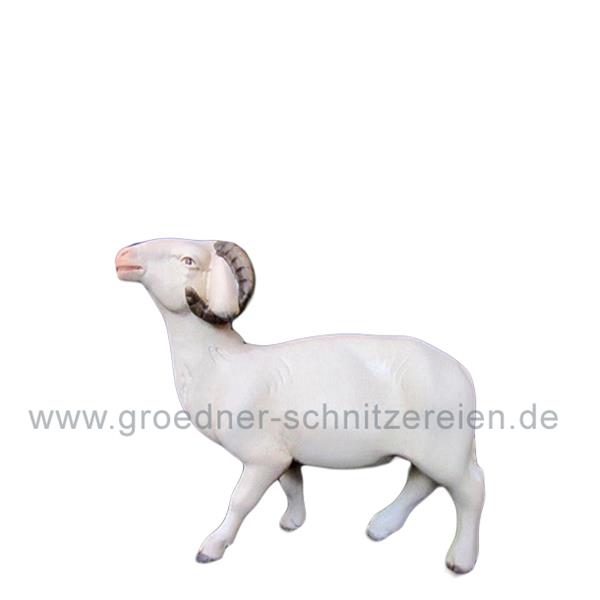 Widder modern Widder modern