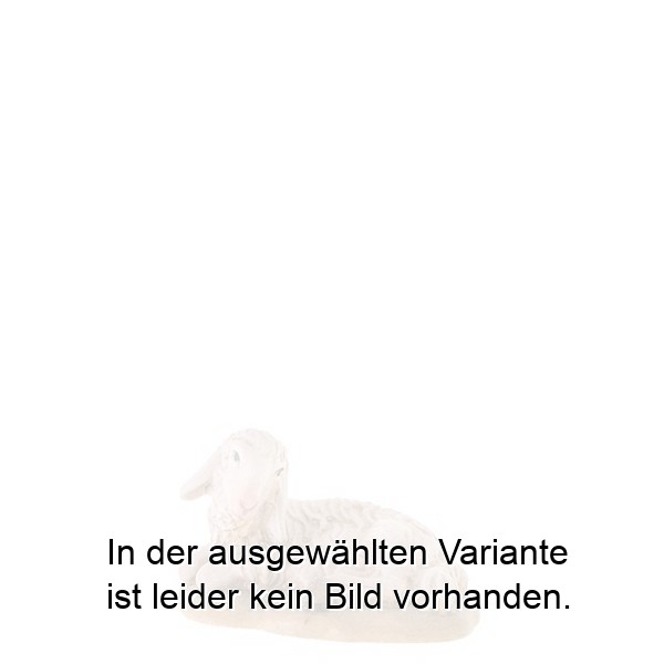Schaf liegend Schaf liegend