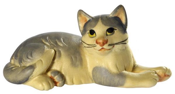 Katze liegend grau-weiß