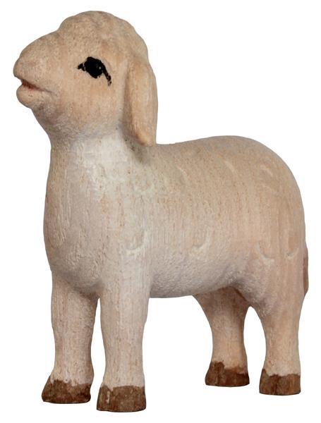 Lamm stehend Lamm stehend