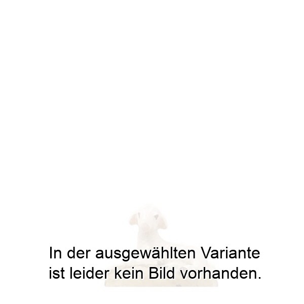 Schaf liegend Schaf liegend