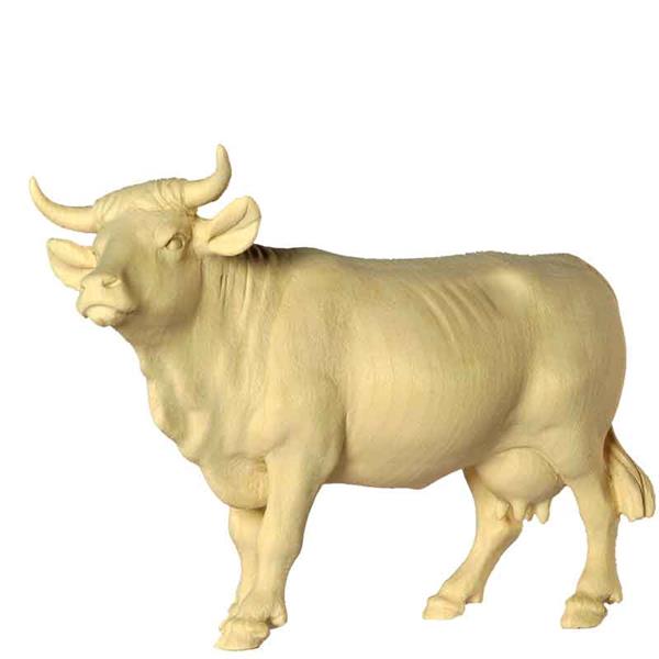 Kuh - Kopf oben hellbraun Kuh - Kopf oben hellbraun