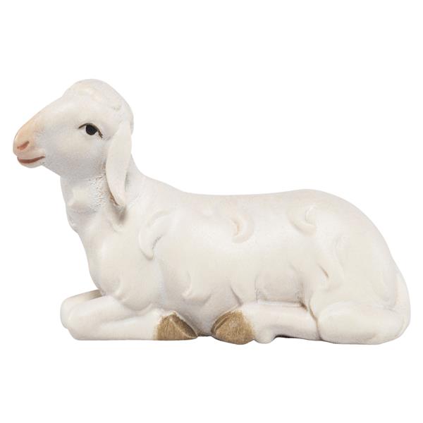 Schaf liegend Schaf liegend