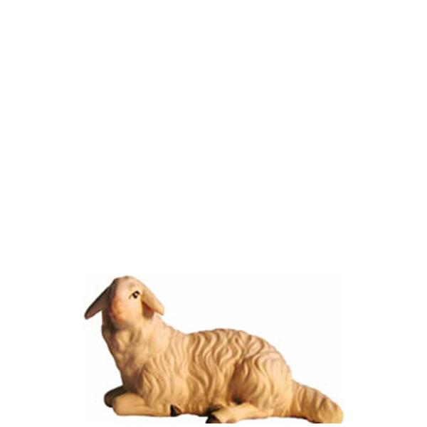 Schaf liegend Schaf liegend