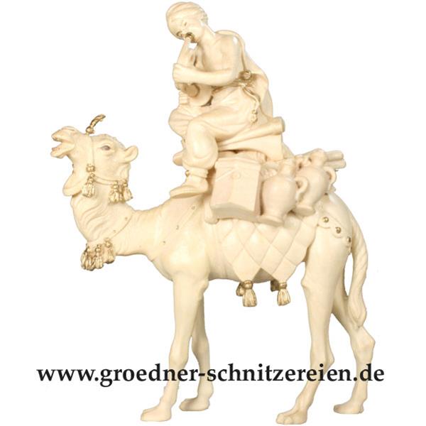 Kamel mit Gepäck und Reiter sitzend Kamel mit Gepäck und Reiter sitzend