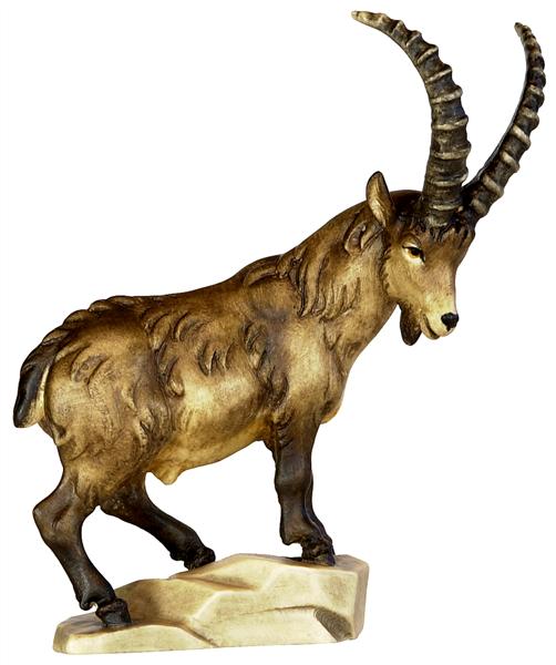 Steinbock auf Fels