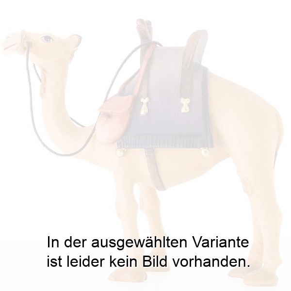 Kamel