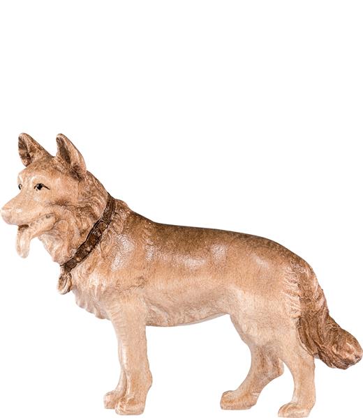 Schäferhund