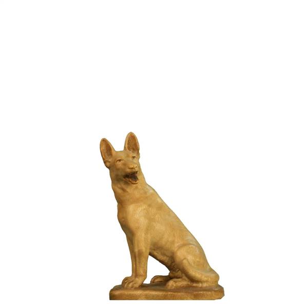 Sitzender Schäferhund Sitzender Schäferhund