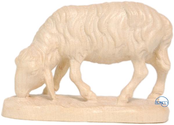 Schaf fressend Schaf fressend