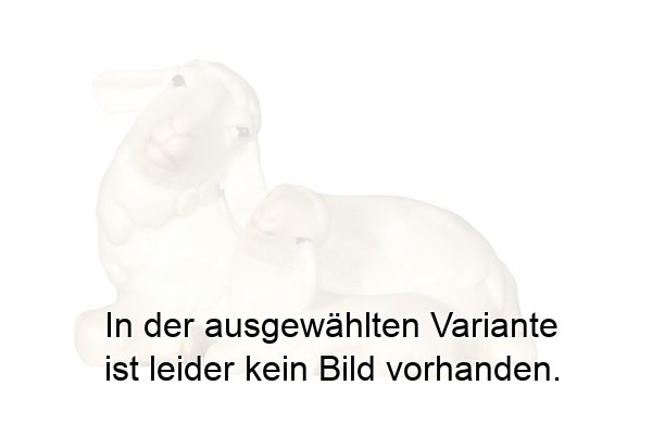 Schaf liegend mit Lamm schlafend