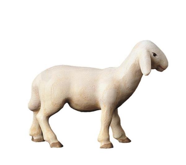Schaf stehend 'M' Schaf stehend 'M'
