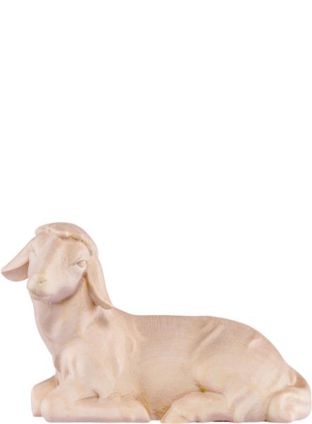 Schaf liegend Artis Schaf liegend Artis