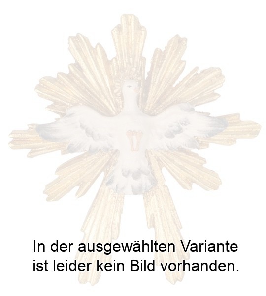 Hl. Geist mit Strahlenkranz Hl. Geist mit Strahlenkranz
