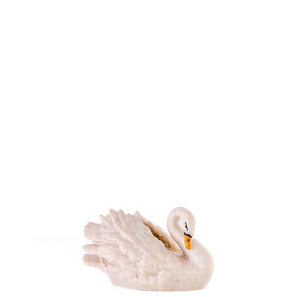 Schwan Schwan