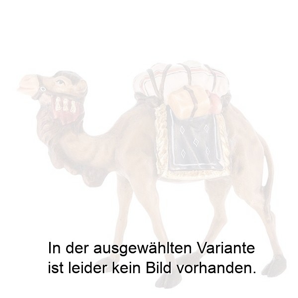 Kamel beladen Kamel beladen