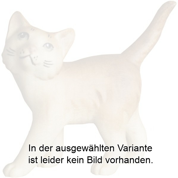 Kätzchen stehend rechts