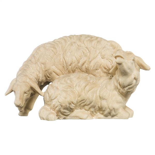 Schafgruppe Schafgruppe