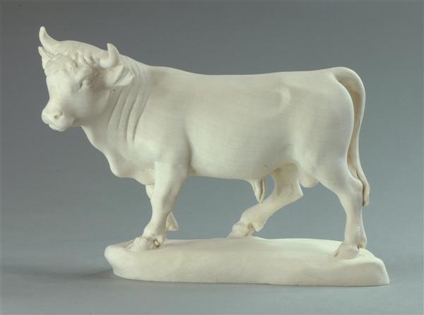 Ochs stehend Ochs stehend