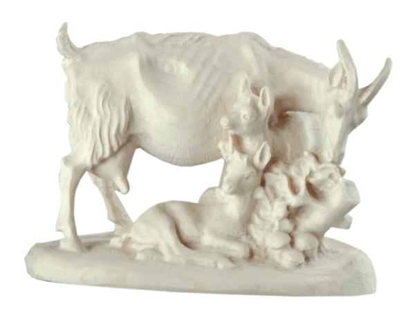 Ziegengruppe Ziegengruppe