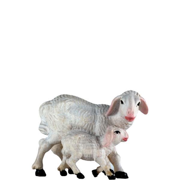 Schafgruppe Schafgruppe