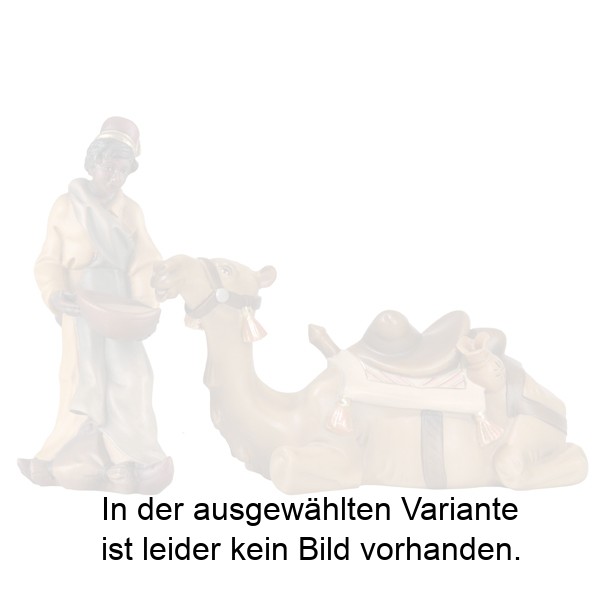 Kamel mit Treiber Kamel mit Treiber