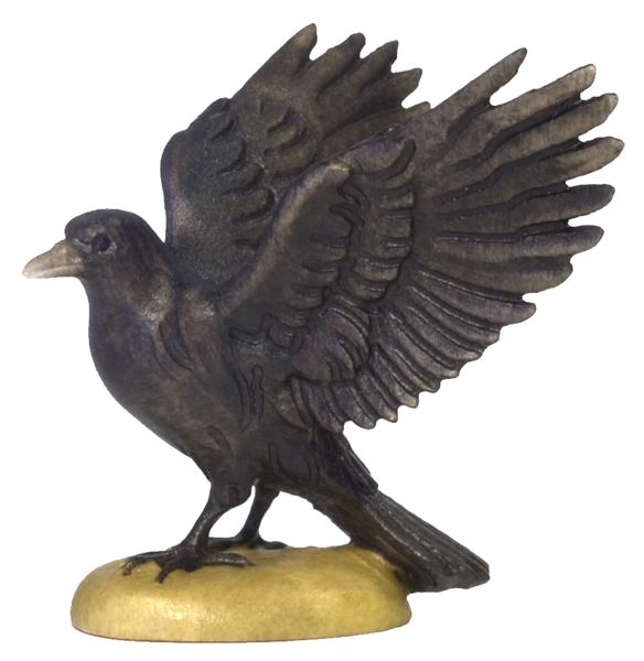 Rabe Flügel offen Rabe Flügel offen