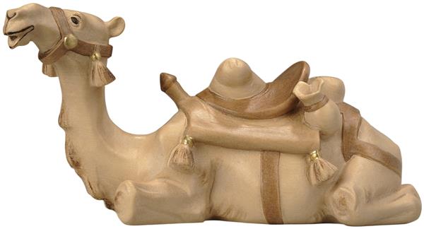 Kamel liegend Kamel liegend