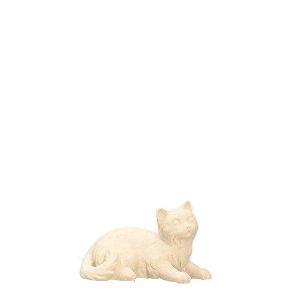 Katze liegend Katze liegend