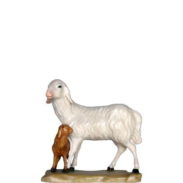 Schaf stehend Schaf stehend