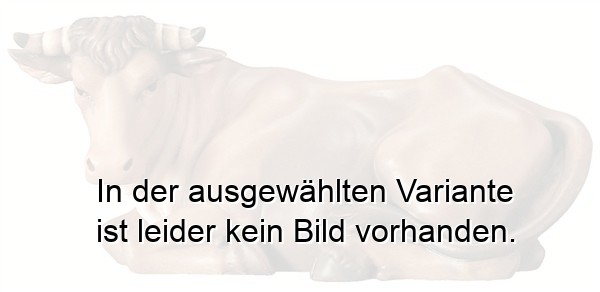 Ochs liegend Ochs liegend