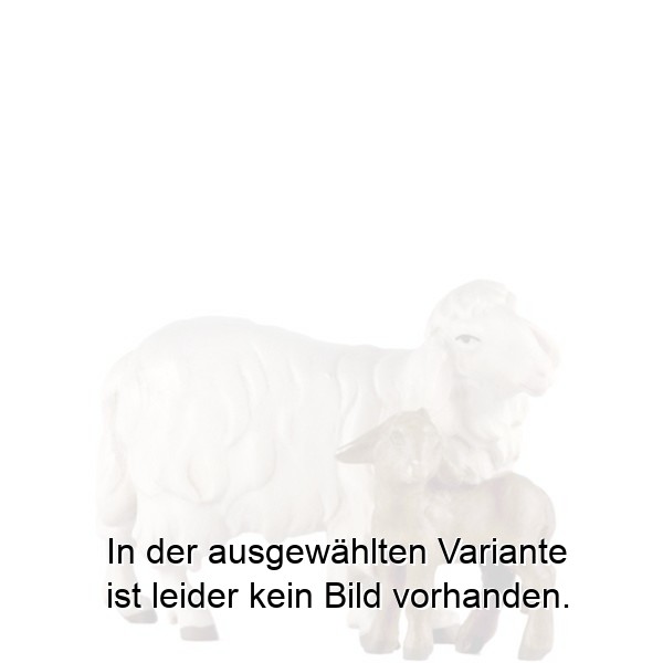 Schaf mit Lamm Schaf mit Lamm