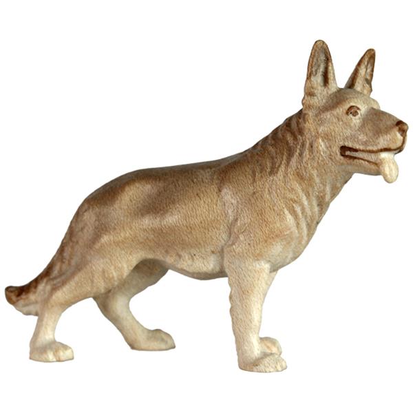 Hund Schäferhund