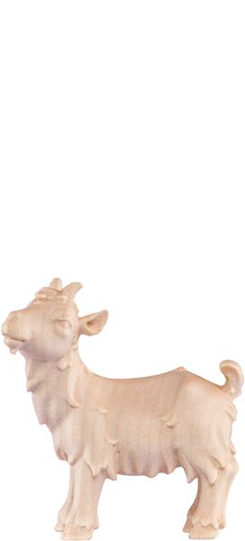 Kitz Artis Kitz Artis