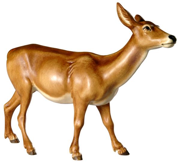 Hirschkuh