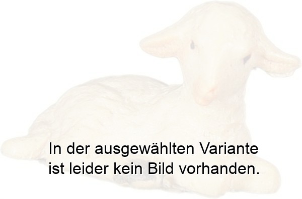 Lamm liegend